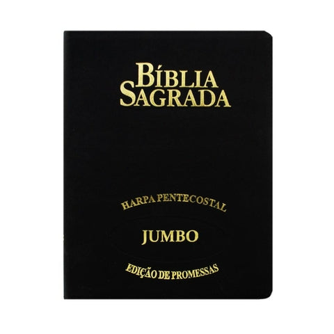 Bíblia Sagrada RC Letra Jumbo Edição De Promessas Capa Zíper Preta