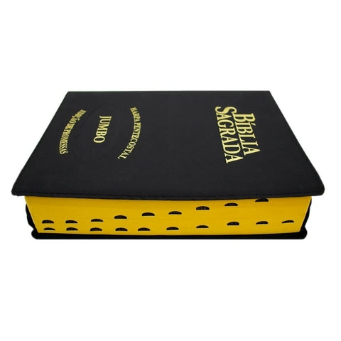 Bíblia Sagrada RC Letra Jumbo Edição De Promessas Capa Zíper Preta
