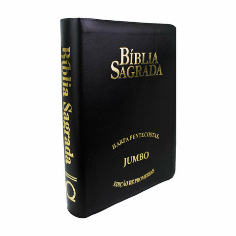 Bíblia Sagrada RC Letra Jumbo Edição De Promessas Capa Zíper Preta